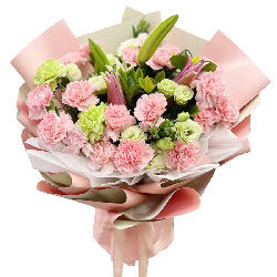 19朵粉色康乃馨百合，感谢母的关心