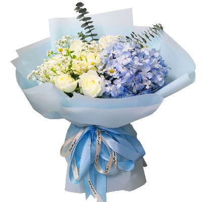 9朵白玫瑰2只蓝色绣球花，遇到你的每一天都是甜蜜的