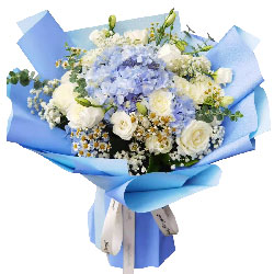 11朵白玫瑰1朵蓝绣球花，美好的人生