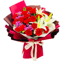 18朵红色康乃馨百合花，无尽的温暖和幸福