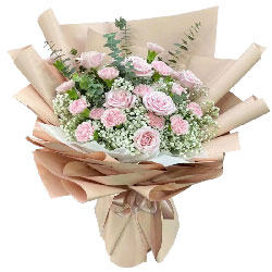 16朵粉色康乃馨粉玫瑰，永远健康美丽