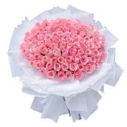 99朵戴安娜粉玫瑰，爱跨越千山万水