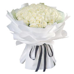 33朵白玫瑰，我的爱伴随你