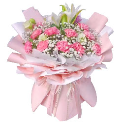 12朵粉色康乃馨百合，幸福和快乐环绕