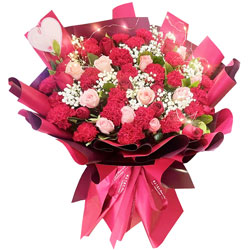 22朵红色康乃馨玫瑰花，心里特别温暖