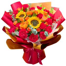 16朵红色康乃馨3朵向日葵，充满阳光和微笑
