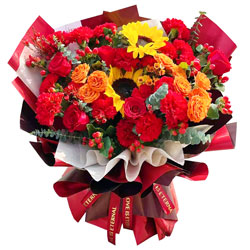 16朵红色康乃馨+红玫瑰+向日葵，享受美好人生