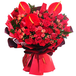 19朵红玫瑰康乃馨红掌，美满而幸福