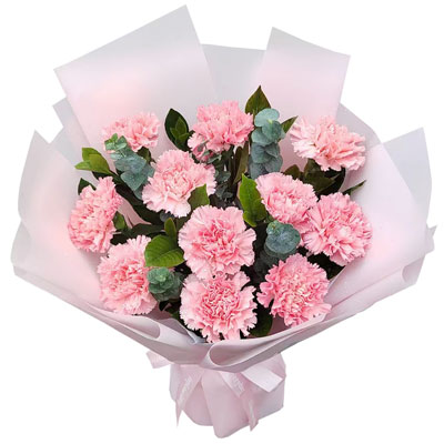 11朵粉色康乃馨，享受快乐生活