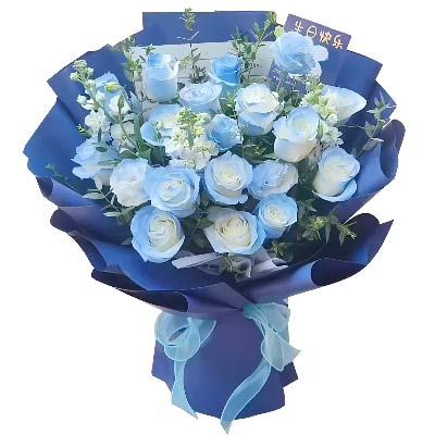 19õ壬дǹ