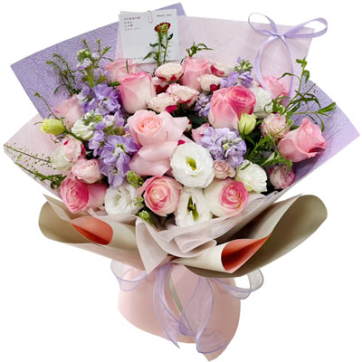 11�䰬ɯ��õ��2֧�����������ĺ�����֯