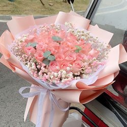 ��������伮