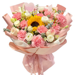 ��ֻ���տ���