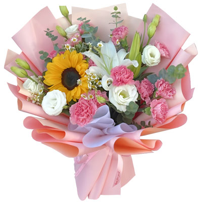 12���ɫ����ܰ�ٺ����տ�������ḻ���