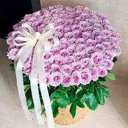 �మ�Ĺ���