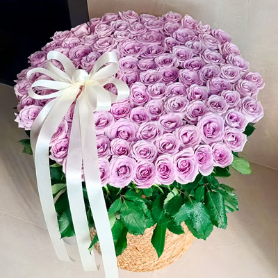 66��������õ��ݱ໨�����మ�Ĺ���