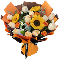 11������õ��3�����տ�����ӵ�����ճ�