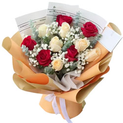 ����ֻװ����