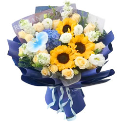 ÿ�춼�ֿ���