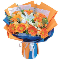 8����ɻ�õ��ٺϣ�ɢ��ҫ�۹�â