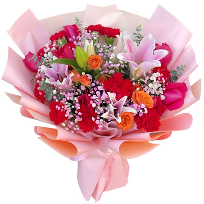 11���ɫ����ܰ5���õ�壬Ը���Ĳ�ů��