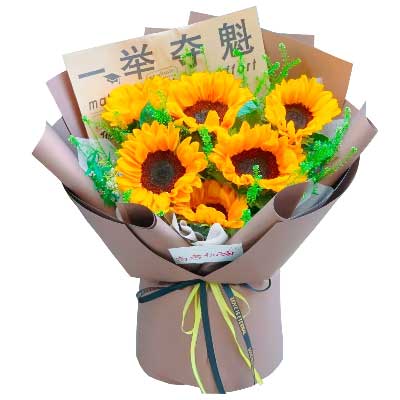 6տֲݴ䣬ԻԼ