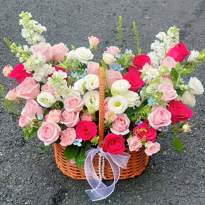 26õỨӾ