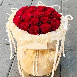 19õС磬鶨
