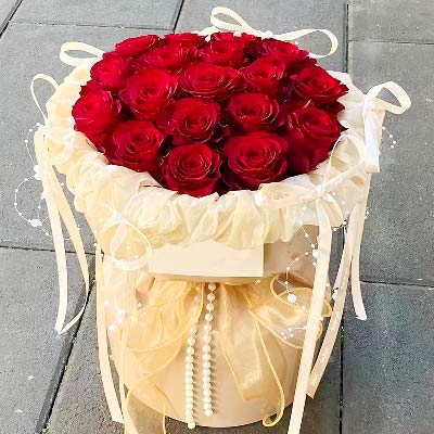 19õС磬鶨