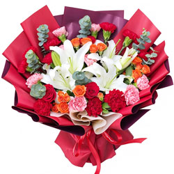 19�俵��ܰ�ٺϣ��Ҹ���������