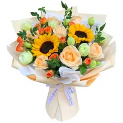 8������õ��2�����տ�������ϣ����â