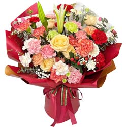 ��ů������