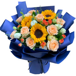 9������õ��3�����տ���ӵ��ÿ������