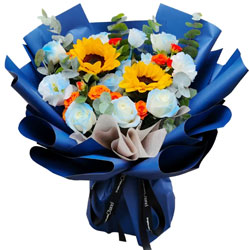 11���������õ��2�����տ���������â֮·