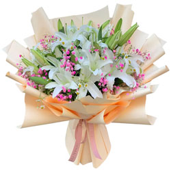 ǡ���B��֦