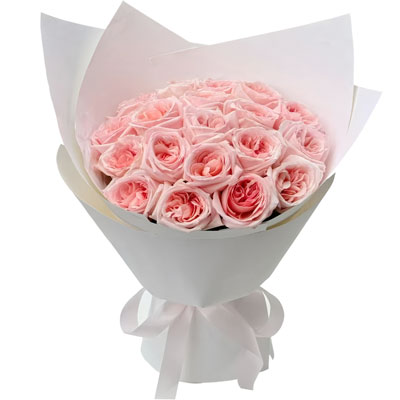 19����֦��õ�壬����ָ������