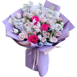 ����������ʫ