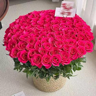 99���õ��ݱ໨�����������ᴺ��