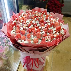 52�Ų�ݮ��������������