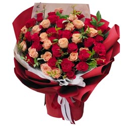 �����İ���