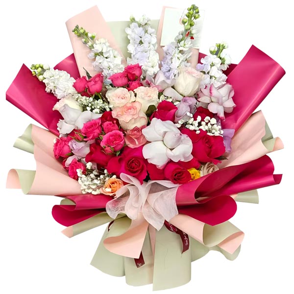 20��õ��5֧������������֮����