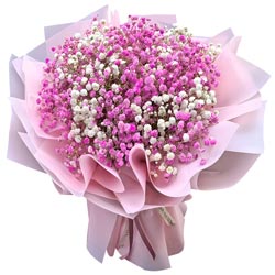 ��ɫ������һ��������֯�Ҹ�ͼ��