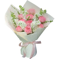 ��������˲��