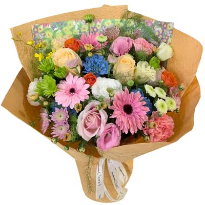 3��õ�念��ܰ���ɻ������Ŷ��й�â