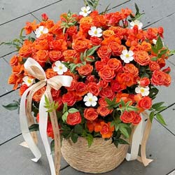 ���˴���һ��