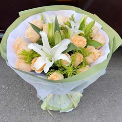 ���ǳ�������