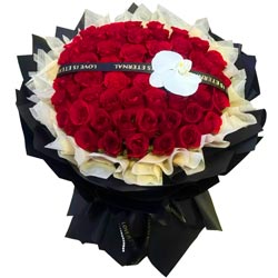 ������չ���