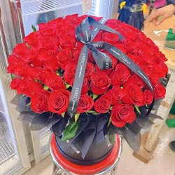 ���Ķ�������