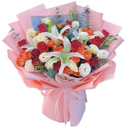 11���õ��2֧�ٺϣ�ÿ�춼������