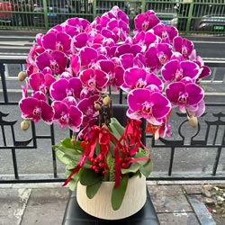 ��ͥ����˳��